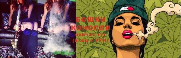 сатива Бугульма